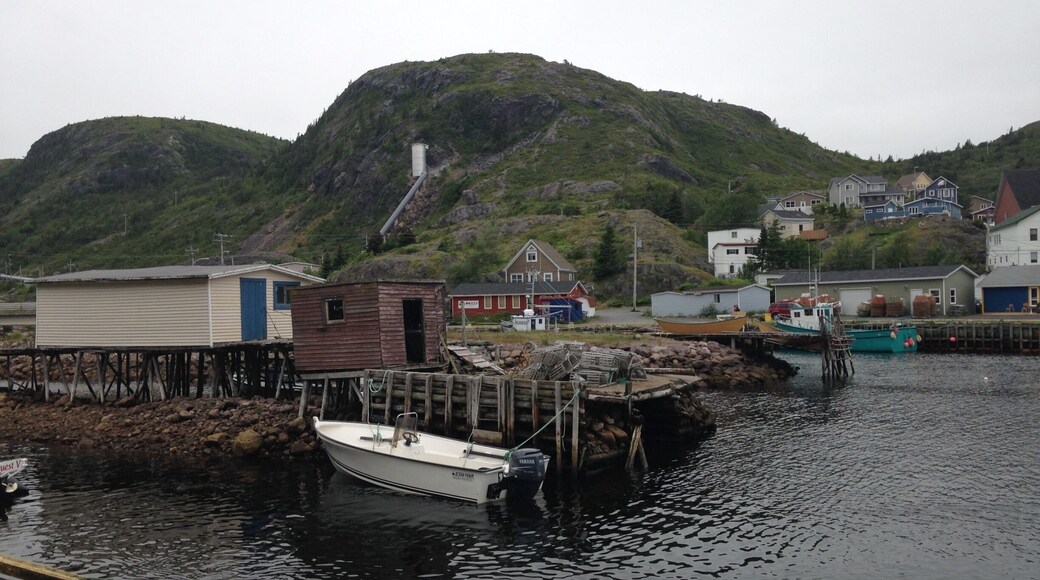 Charming fishing village outside of St. John's NL. Be sure to check out Chafe's Landing for a bite to eat and Herbie's Olde Shop for some handmade gifts!