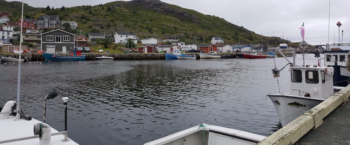 A harbor with boats docked, a hill with houses in the background, and a flag on a pole.