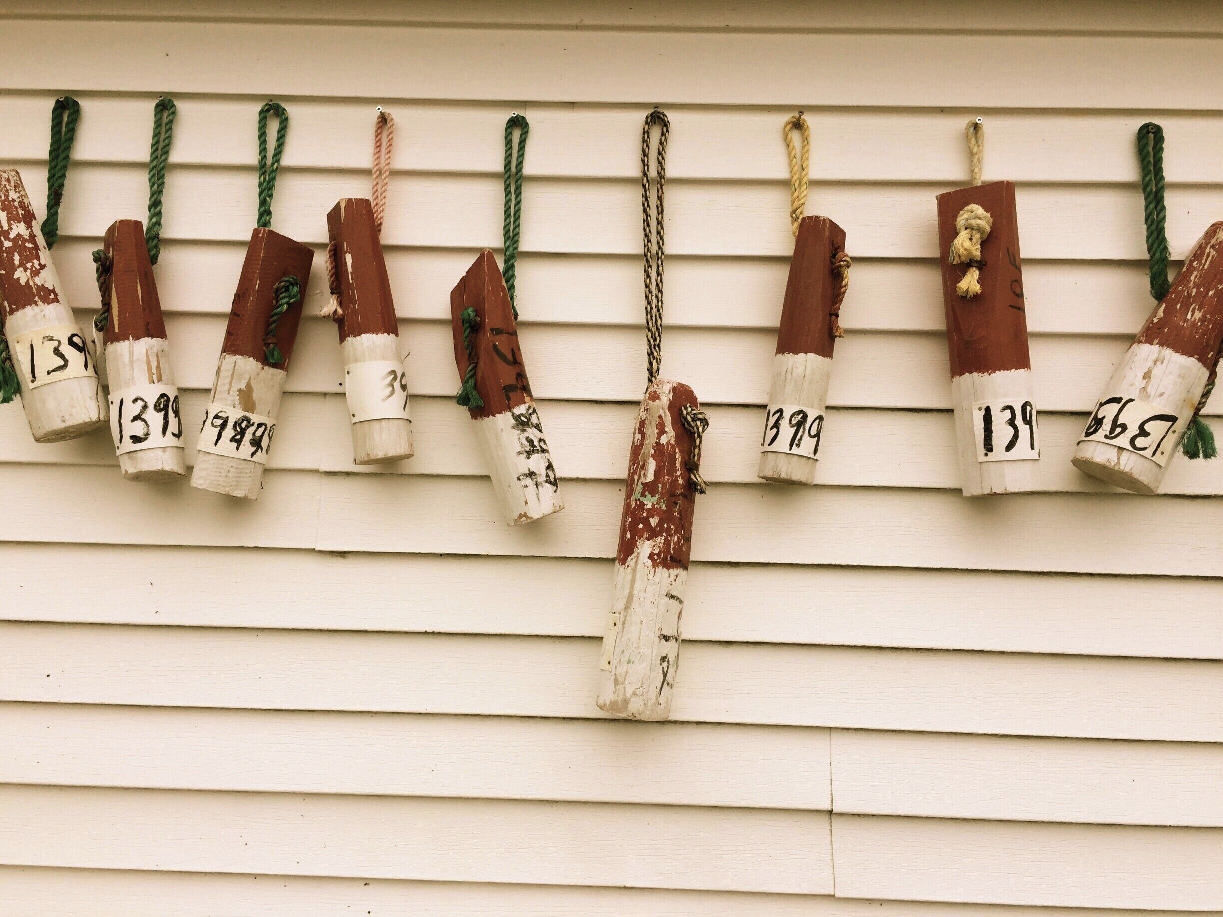 There's a lot of action in this beautiful community these days. Fishermen, divers, marine biologists all at work!