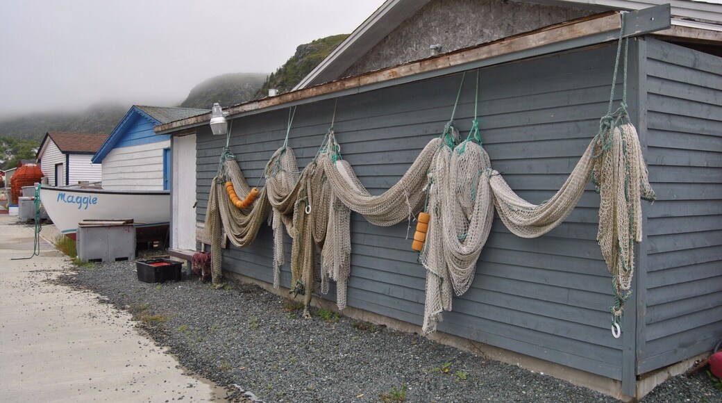 Fog lifting and nets hanging in Petty Harbour