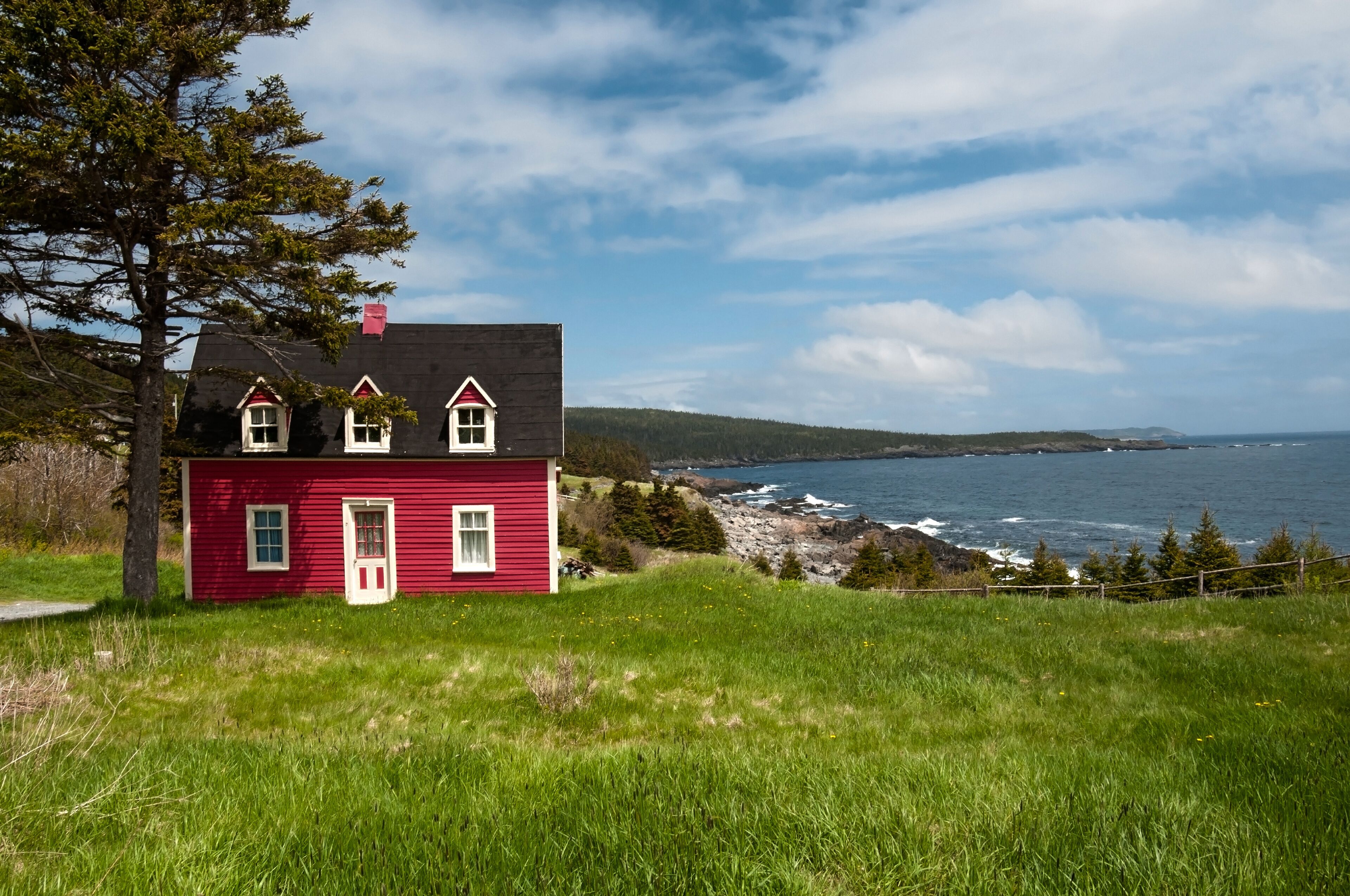 A red house with a white door and windows, a tree, and a view of the ocean and rocky coastline.