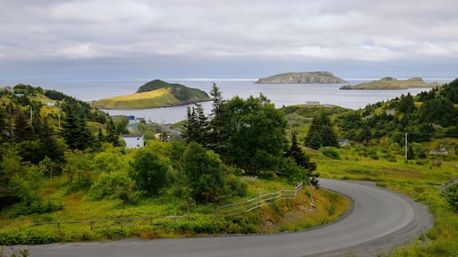 Tors Cove