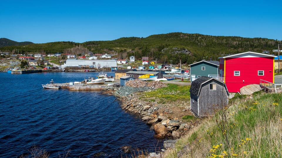 A coastal village with boats docked at a pier, a red building, and a forested hill in the background.
