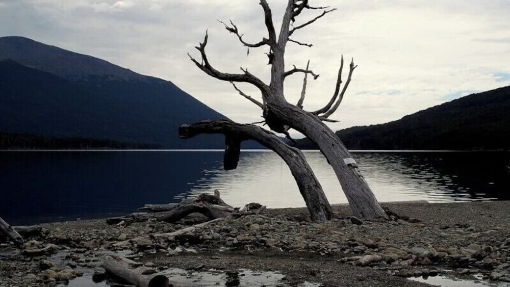 #Ushuaia #TierraDelFuego #GreatOutdoors #Nature
Lago Escondido
Dizem que uma imagem vale mais do que mil palavras, mas, no caso da Terra do Fogo, nem mil imagens conseguem mostrar toda a beleza que aqui encontrei. É necessário ver, sentir e respirar toda esta região.
Hidden lake
People say that a picture is worth a thousand words, but in the case of Tierra del Fuego, not a thousand images can show all the beauty that I found here. It is necessary to see, feel and breathe the whole region.