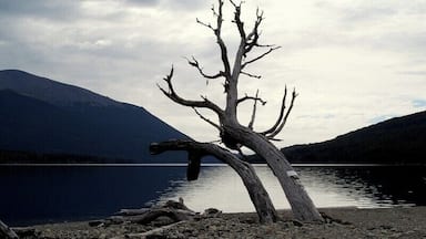 #Ushuaia #TierraDelFuego #GreatOutdoors #Nature
Lago Escondido
Dizem que uma imagem vale mais do que mil palavras, mas, no caso da Terra do Fogo, nem mil imagens conseguem mostrar toda a beleza que aqui encontrei. Ă necessĂĄrio ver, sentir e respirar toda esta regiĂŁo.
Hidden lake
People say that a picture is worth a thousand words, but in the case of Tierra del Fuego, not a thousand images can show all the beauty that I found here. It is necessary to see, feel and breathe the whole region.