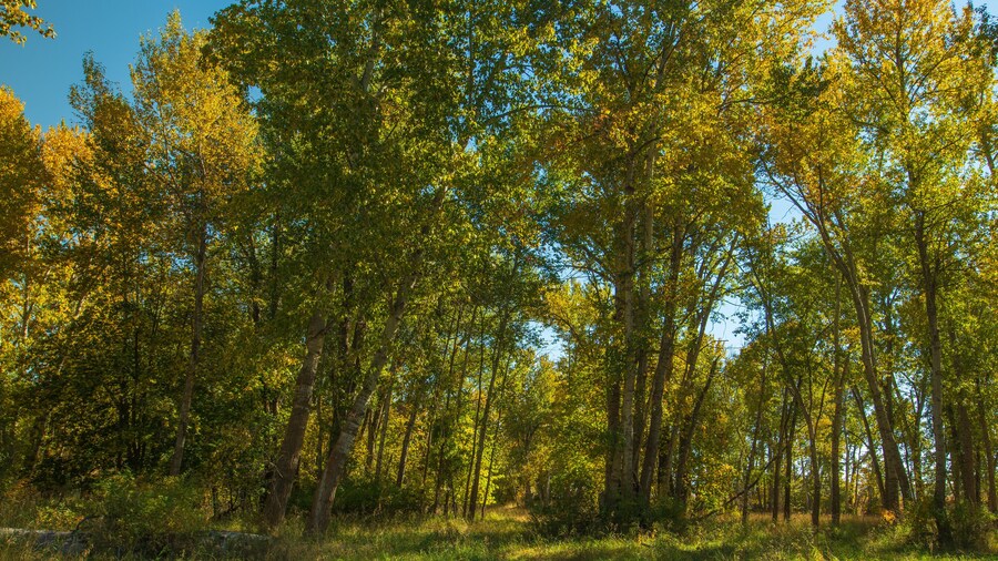 Travelers Rest State Park