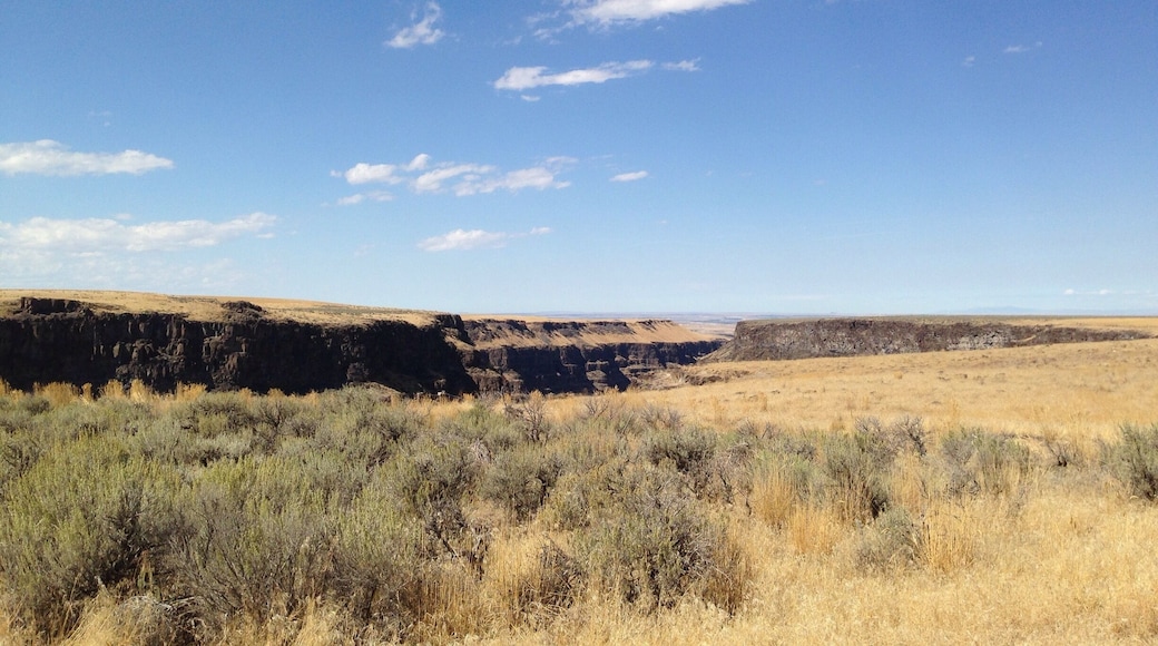 Exploring Bruneau Canyon Overlook in Idaho.