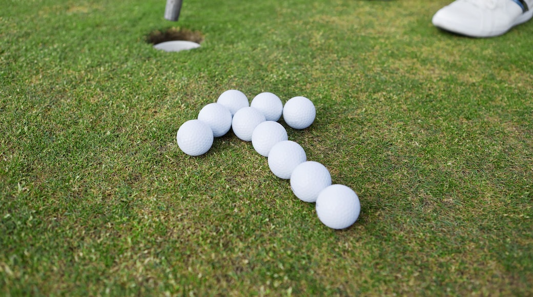 Campo de golf Double Arrow