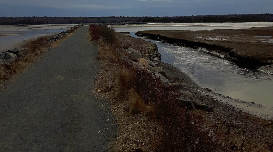 Salt Marsh Trail is a large causeway that once was for trains but is now a trail