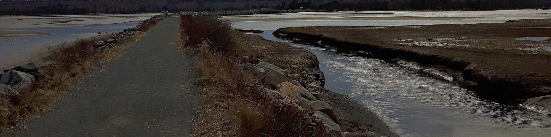 Salt Marsh Trail is a large causeway that once was for trains but is now a trail