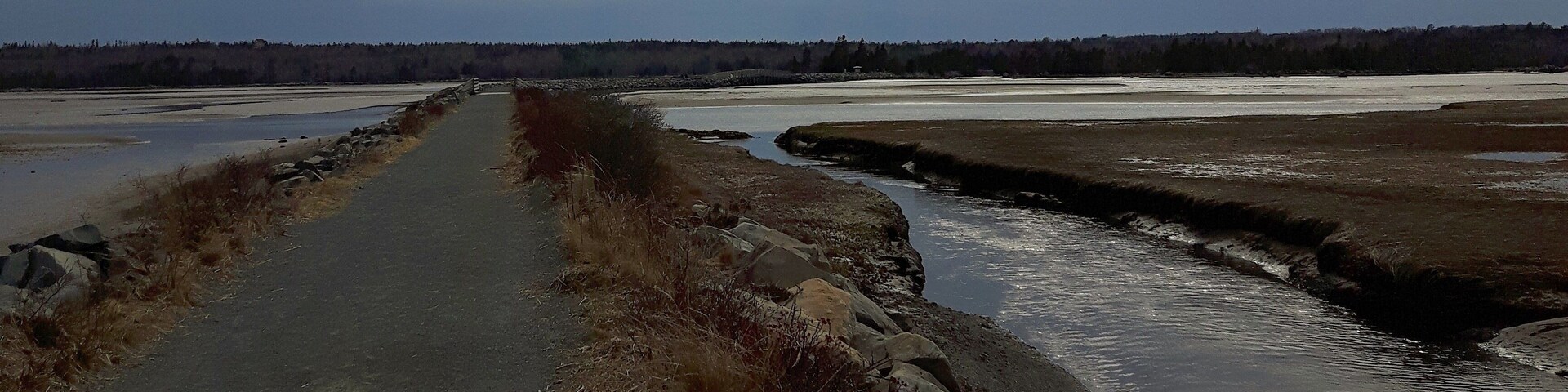 Salt Marsh Trail is a large causeway that once was for trains but is now a trail