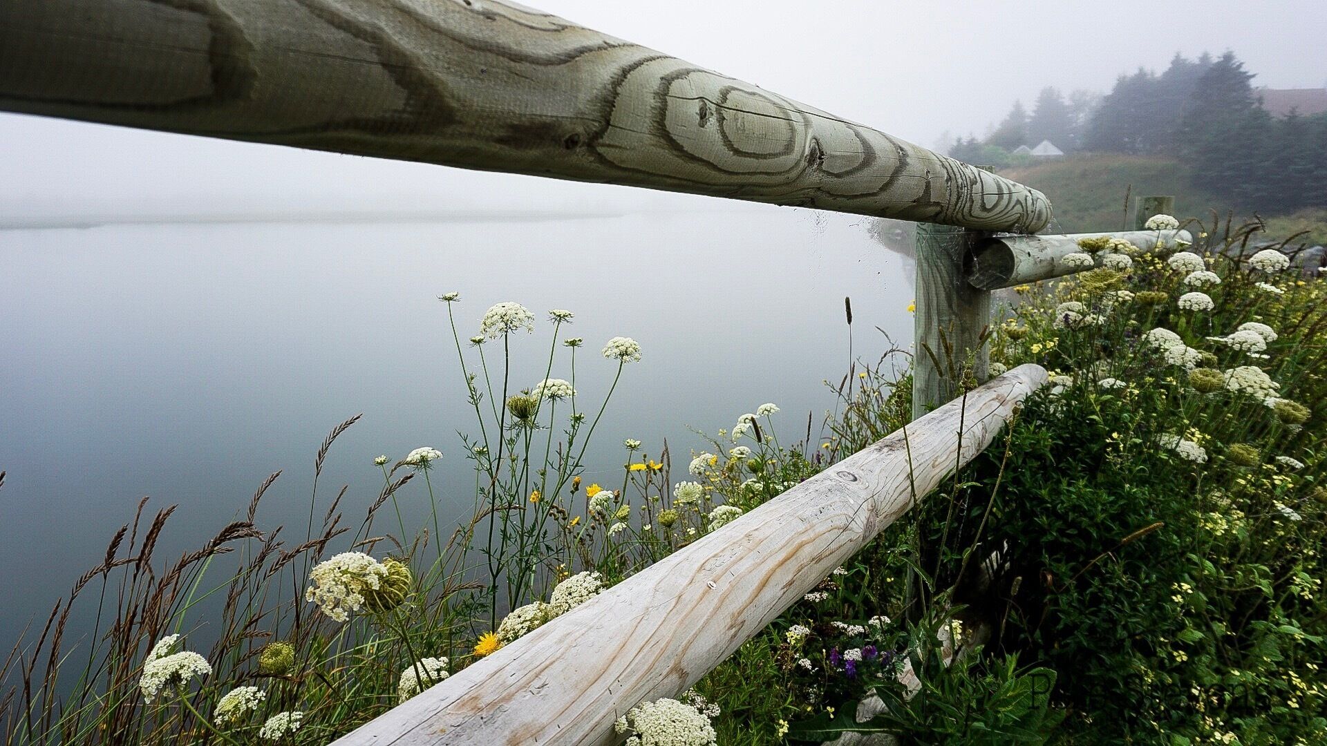 Conrads Beach is a local secret. 