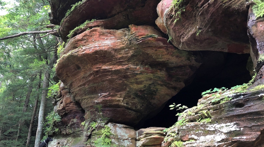 See that dog in the bottom left? That’s Chubs. He loves going off leash and taking me and my friends on a new #Adventure. We ended up at Rock House in Hocking Hills State Park. This spot is amazing; you can climb up into a cave on the side of the hill, and the way it’s naturally carved truly stepped into a house that overlooks the forest. Visitors can’t carve writings into the walls there now, but there are names and carvings from visitors that go back hundreds of years.