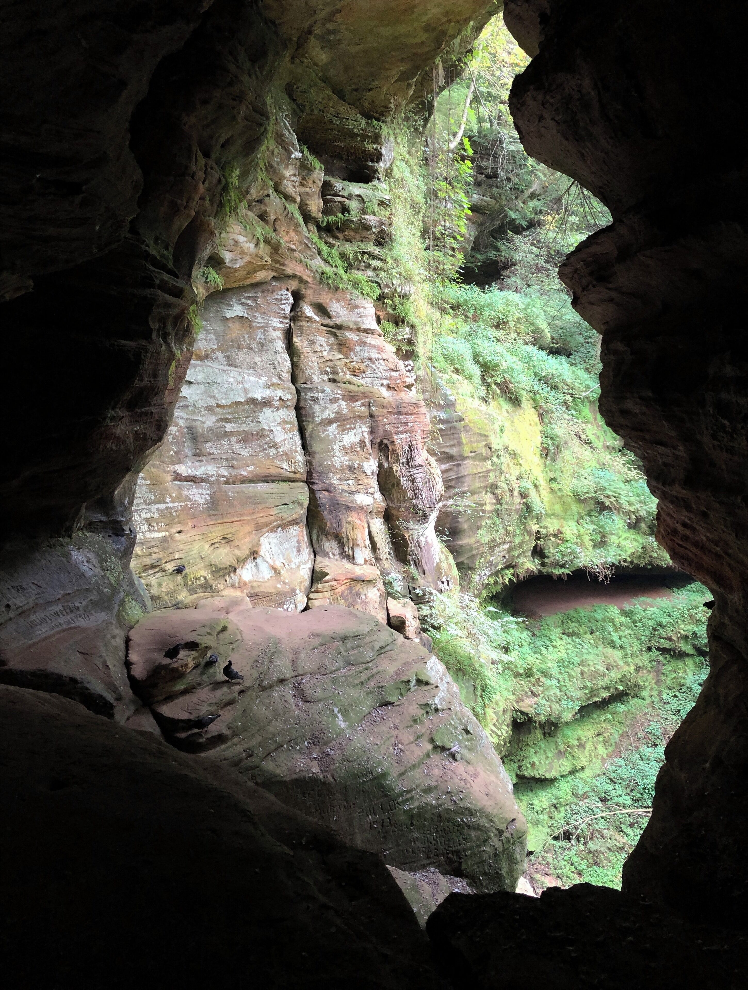 If you look closely, you can see the writing on the wall, carved hundreds of years ago. This cave has a rich history of residents, from squatting bandits to trail-weary frontiersmen and beyond. Getting up into this cave is pretty moderate, just take your time. Water has carved out the cave floor into a natural, wild staircase. The trail out here is short but well worth the #Adventure of putting yourself in history’s shoes.