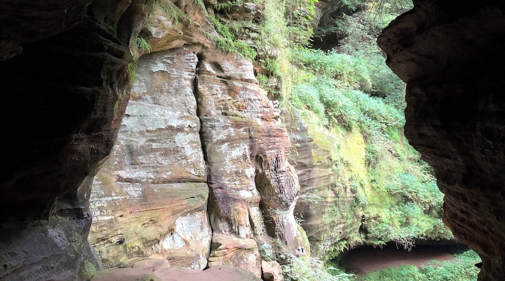 If you look closely, you can see the writing on the wall, carved hundreds of years ago. This cave has a rich history of residents, from squatting bandits to trail-weary frontiersmen and beyond. Getting up into this cave is pretty moderate, just take your time. Water has carved out the cave floor into a natural, wild staircase. The trail out here is short but well worth the #Adventure of putting yourself in history’s shoes.