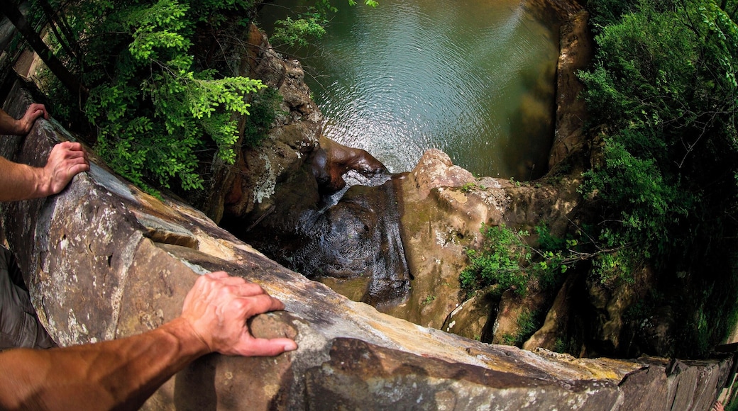#hiking.. i love hiking being out doors following a trail or just making my own fresh air and the out doors is amazing. i hike every chance i can close to home or travel to find new locations, I'm from akron Ohio but i love to travel this photo was from...Hocking Hills Ohio a great state park with a lot of trails and view points and caves zip lining and kayaking .. i did a few hikes and claimed some cliffs to get some great shots