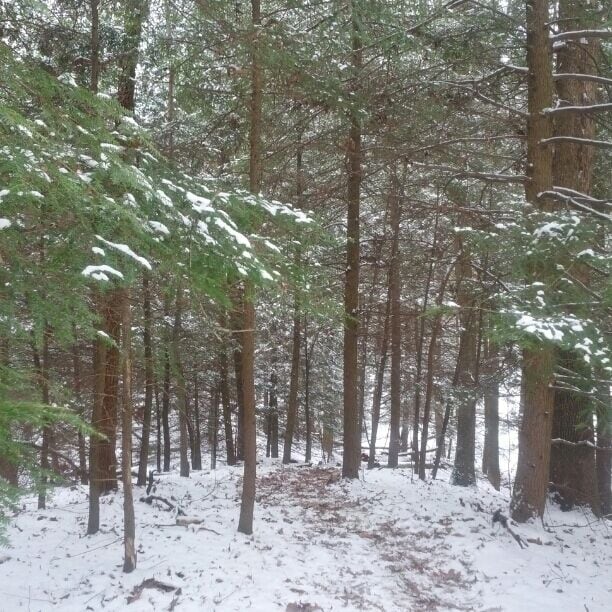 The head of the Hemlock trail in the snow at Clear Creek Metro Park.