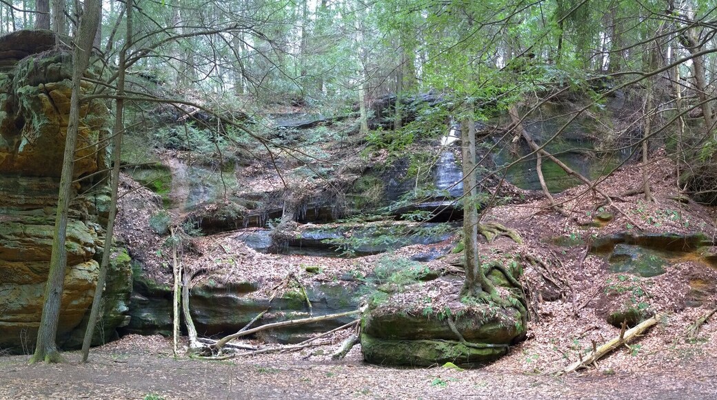 The rocky outcroppings in the canyon are just gorgeous.
Rock Stalls Natural Sanctuary is a 70 acre private preserve in the Hocking Hills area that is owned and operated by Camp Akita, but the management of Camp Akita also allows access to the general public.
The sanctuary is definitely off the beaten path in the sometimes tourist heavy hocking hills area. It offers a quiet bit of respite with beautiful scenery in a box canyon with a creek and waterfalls.