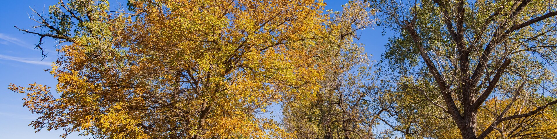 Autumn landscape of the Jet Recreation Nature Trail