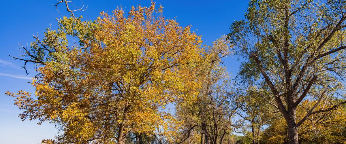 Autumn landscape of the Jet Recreation Nature Trail