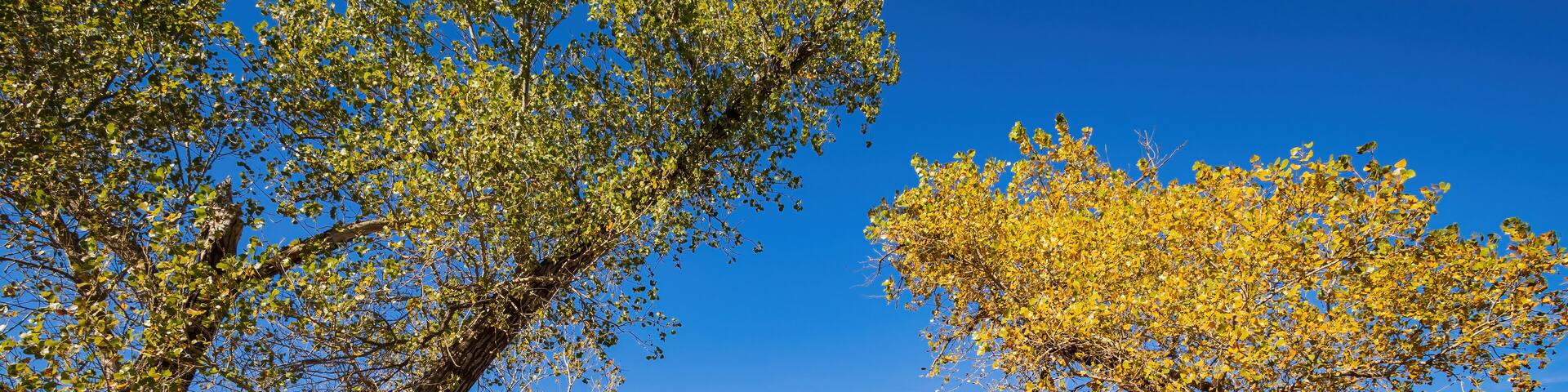 Autumn landscape of the Jet Recreation Nature Trail