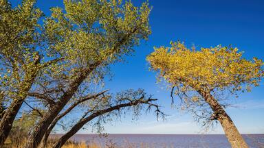 Autumn landscape of the Jet Recreation Nature Trail