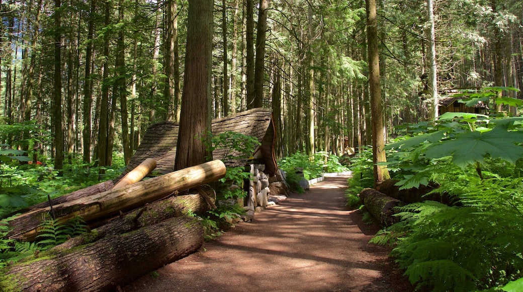 Malakwa featuring forests