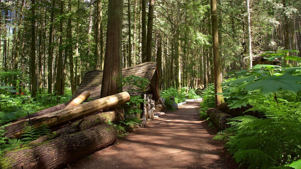 A forested trail with a fallen log and a wooden structure.