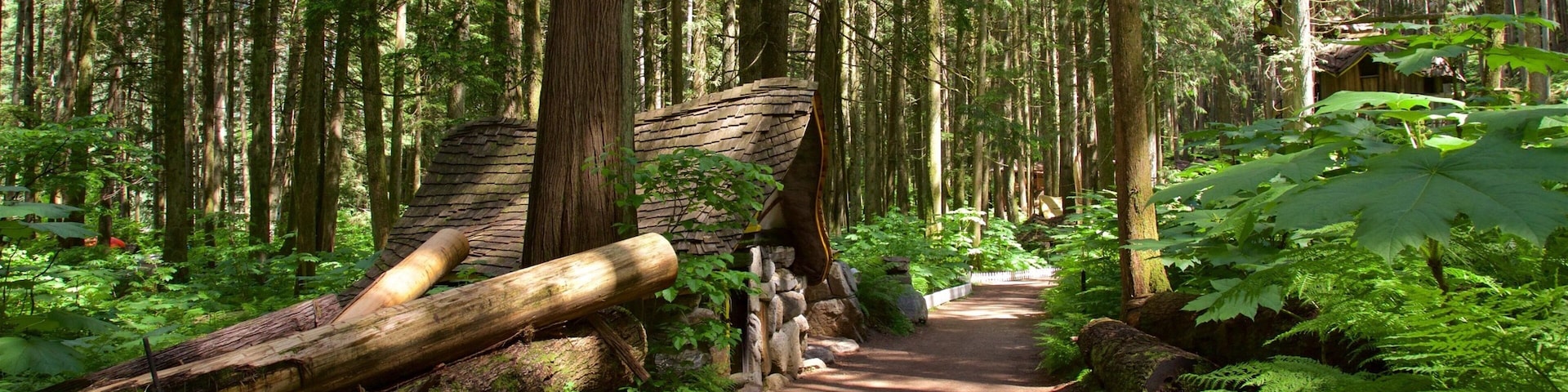 Malakwa featuring forests