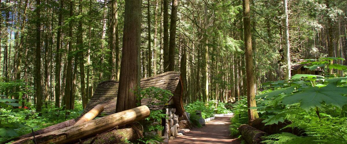 A forested trail with a fallen log and a wooden structure.