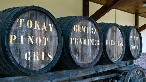 Traditional oak wine barrels with typical regional Alsace wine production varieties.