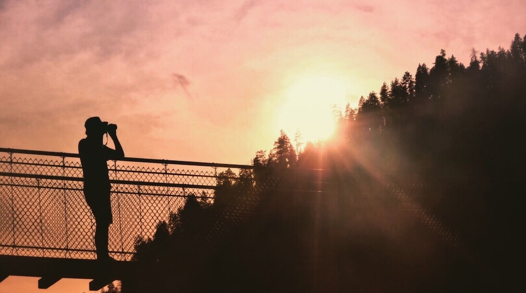 Suspension bridge overlooking Kootenai falls.
#adventure