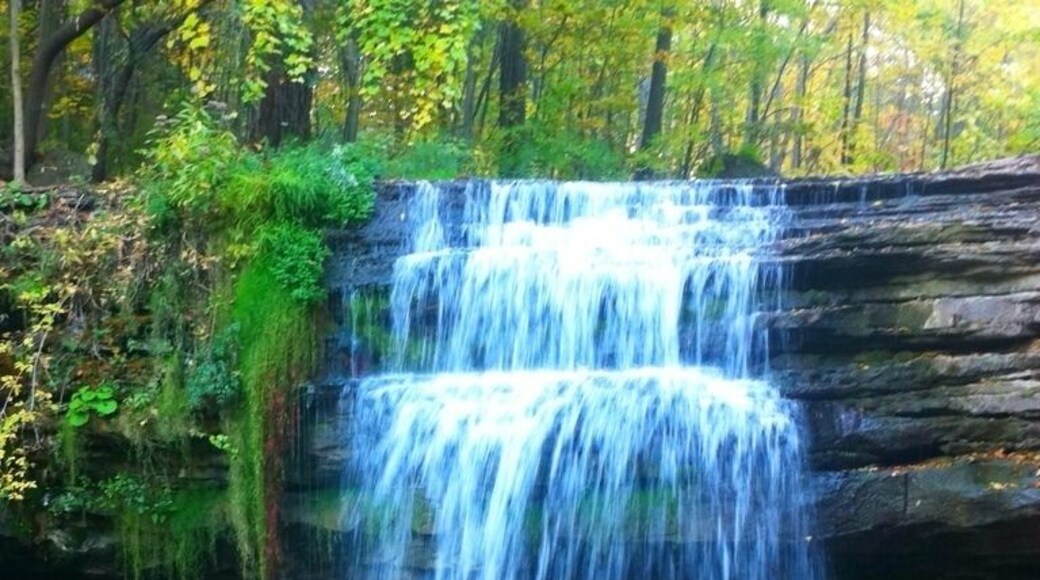 Waterdown falls along Bruce trail