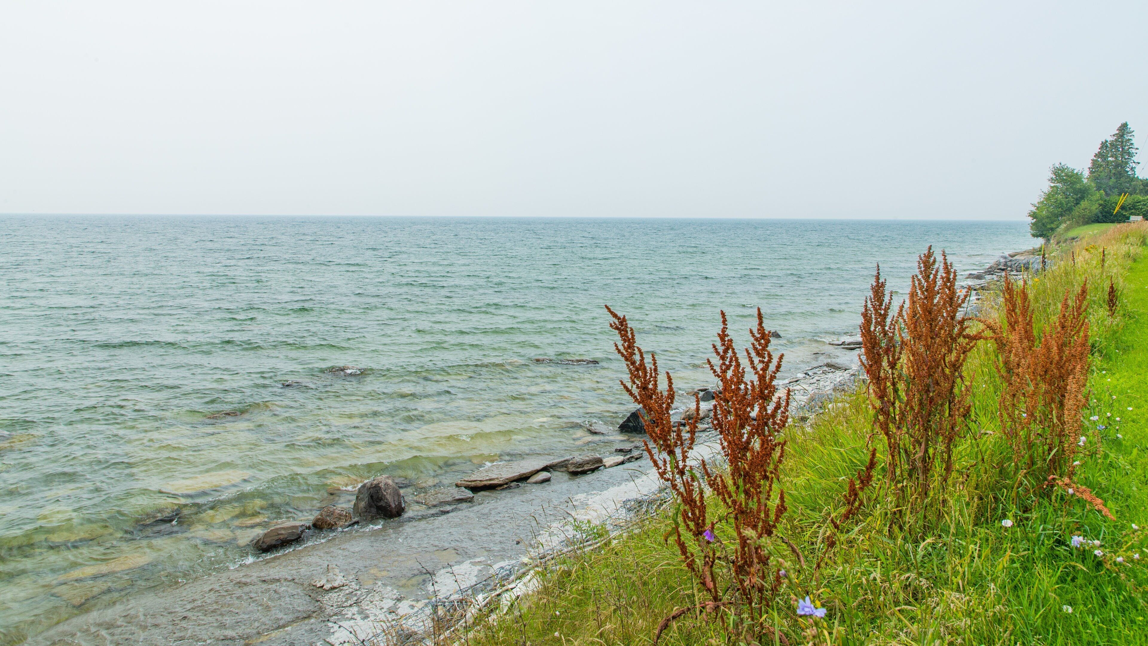 A calm lake with clear water, surrounded by grassy banks and some brown plants.