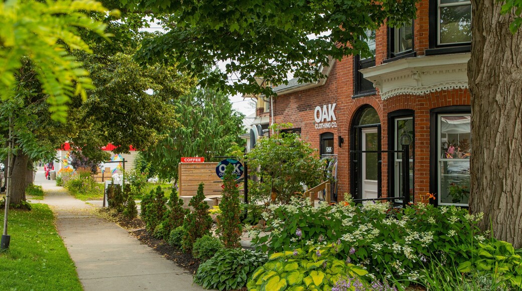 Wellington which includes wildflowers