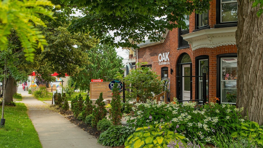 Wellington which includes wildflowers