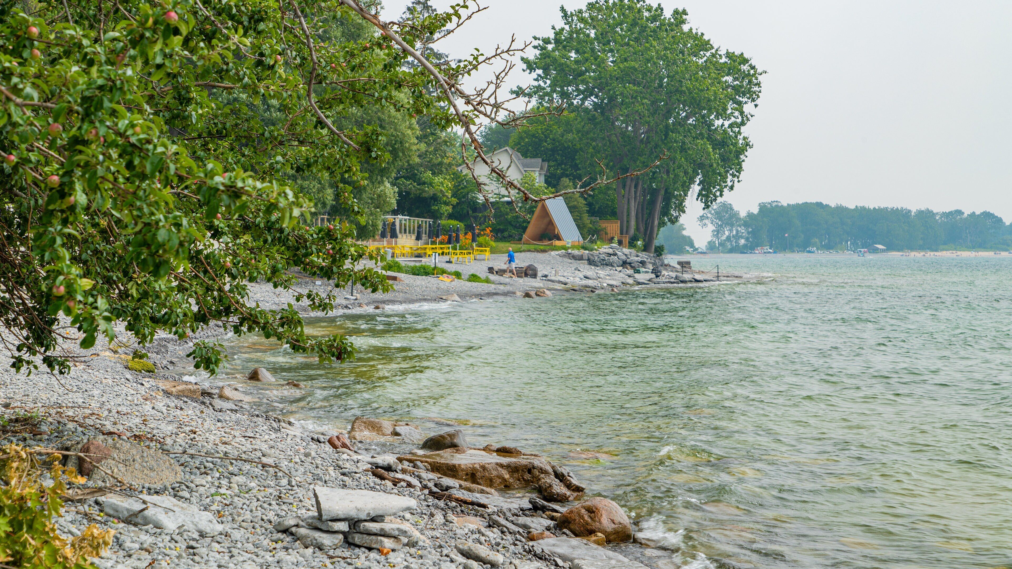 Wellington showing a pebble beach and general coastal views