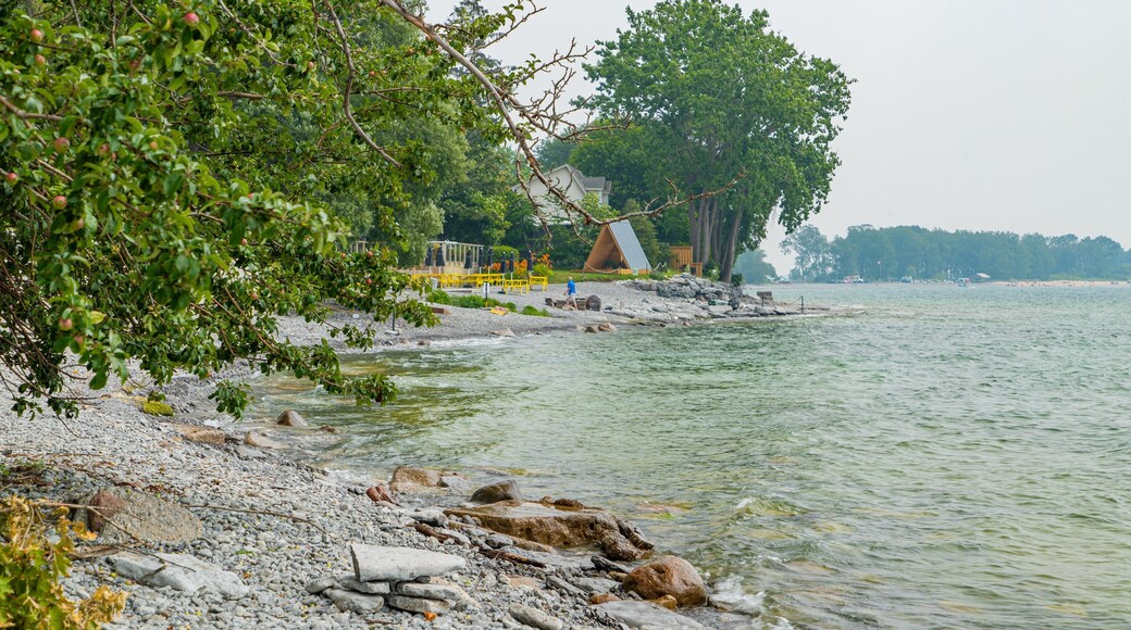 Wellington showing a pebble beach and general coastal views