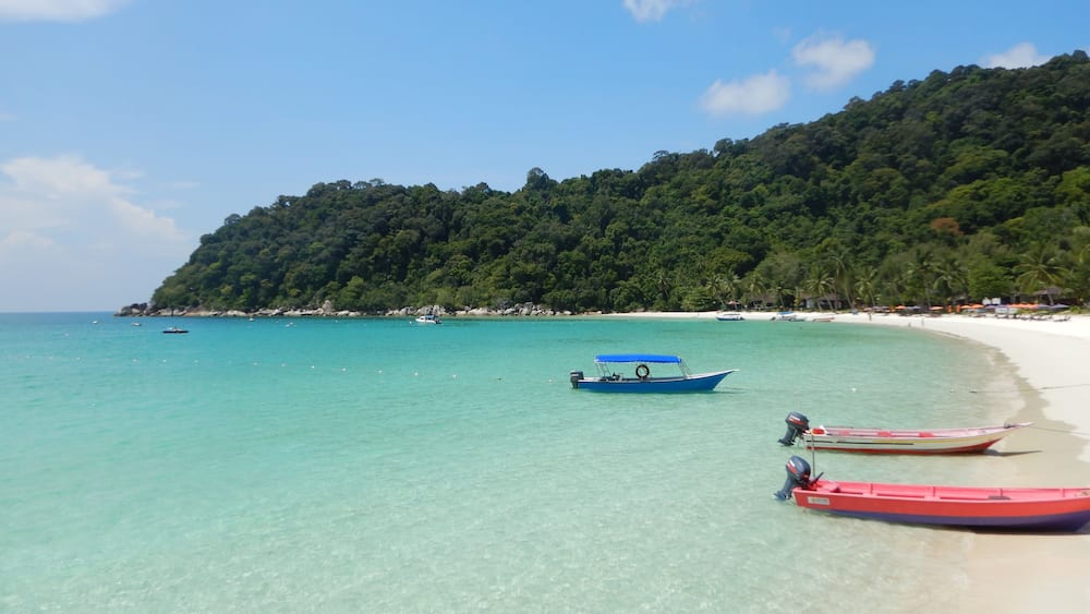 Une plage à l’eau turquoise et limpide, une rive sablonneuse et, en arrière-plan, une colline boisée.