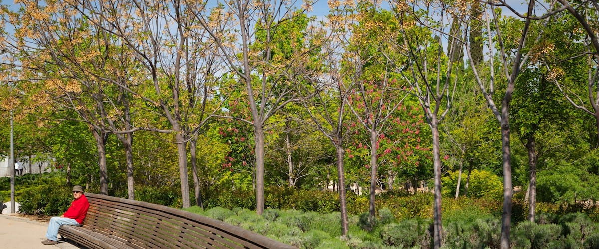 Madrid Rio featuring a park as well as an individual male