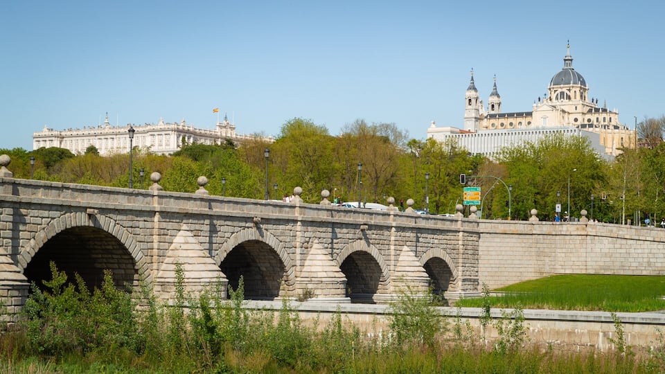 Madrid Rio showing a bridge