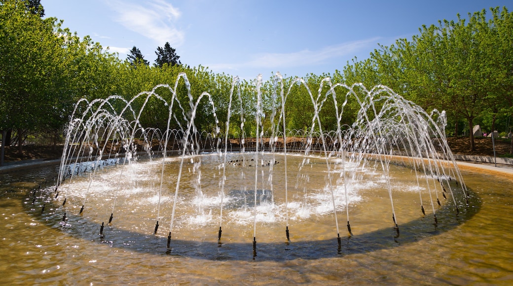 Madrid Rio featuring a fountain