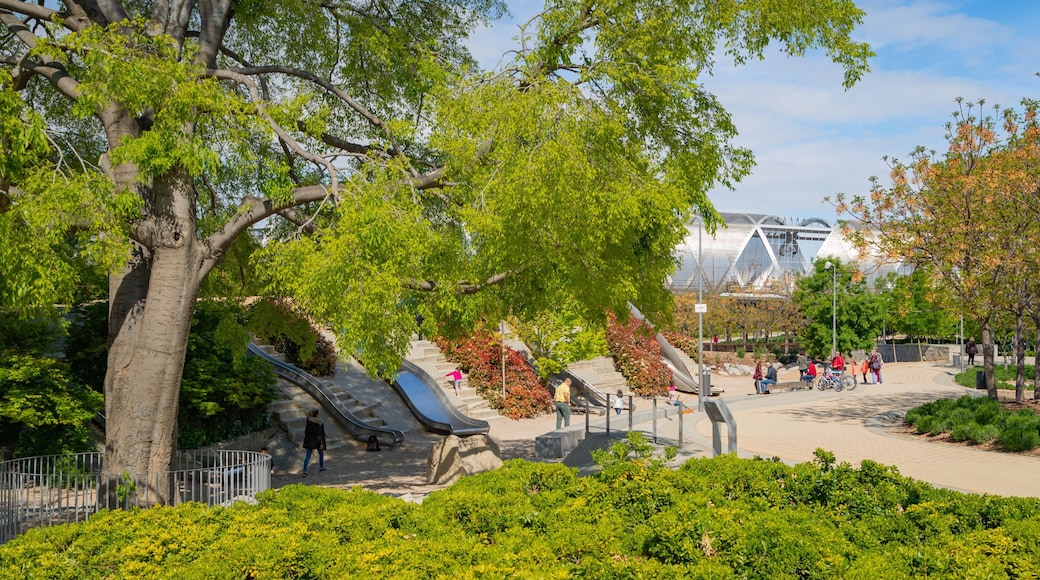 Madrid Rio which includes a park