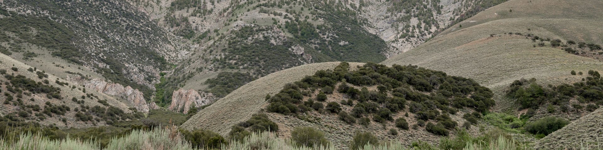Bunker Hill (11,477 ft, 3,498 m) is a high mountain peak in the Toiyabe Range, Lander County, Nevada, USA
