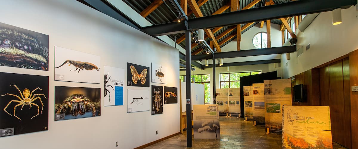 Musee de la Nature et des Sciences showing interior views