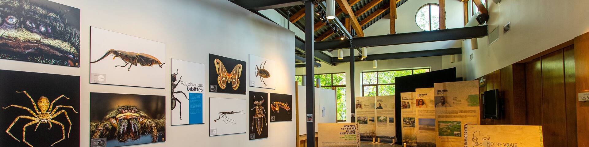 Musee de la Nature et des Sciences showing interior views