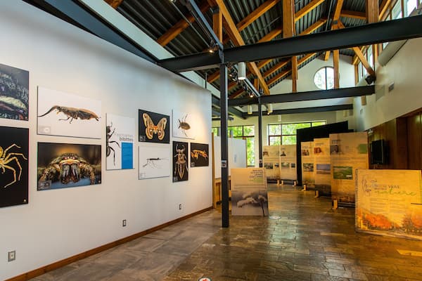 Musee de la Nature et des Sciences showing interior views