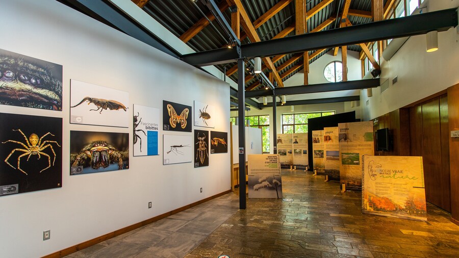 Musee de la Nature et des Sciences showing interior views