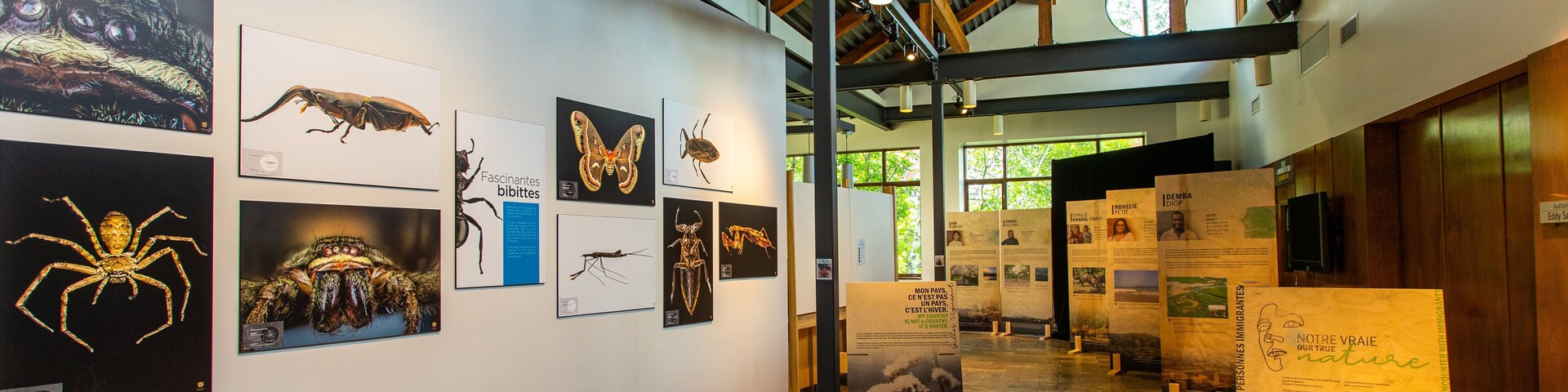 Musee de la Nature et des Sciences showing interior views