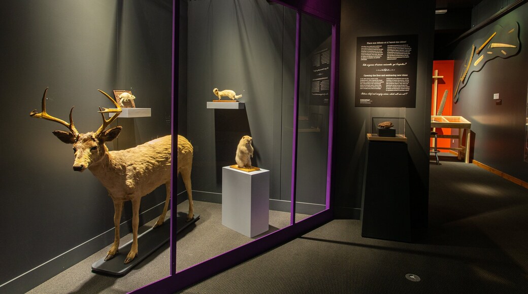 Musee de la Nature et des Sciences featuring interior views